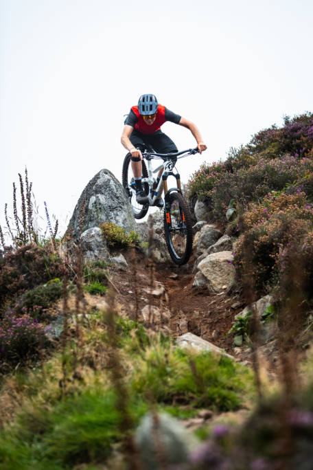 Aberdeenshire Scotty